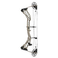 BFLW-P19 Fuxi High-Power Precision Archery Compound Bow